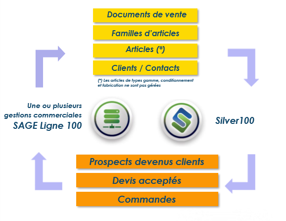 silver100 silver100